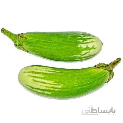بذر بادمجان راگبی تایلندی