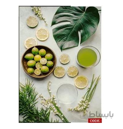 فرش ماشینی آشپزخانه 700شانه سهسا کد E1112 ا SaHsa carpet