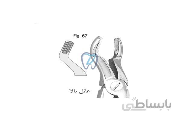 فورسپس ساده عقل – فالکن