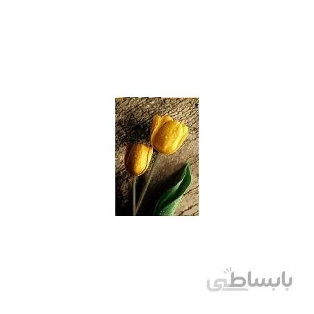 نخ و نقشه آموزشی تابلو فرش کد 25