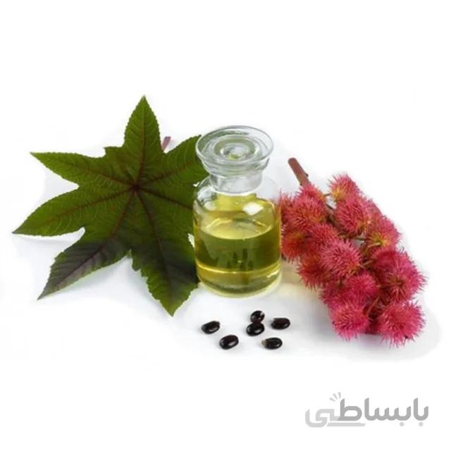 بذر کرچک