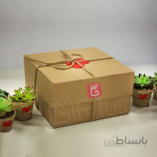 پک 5 عددی گل های ساکولنت