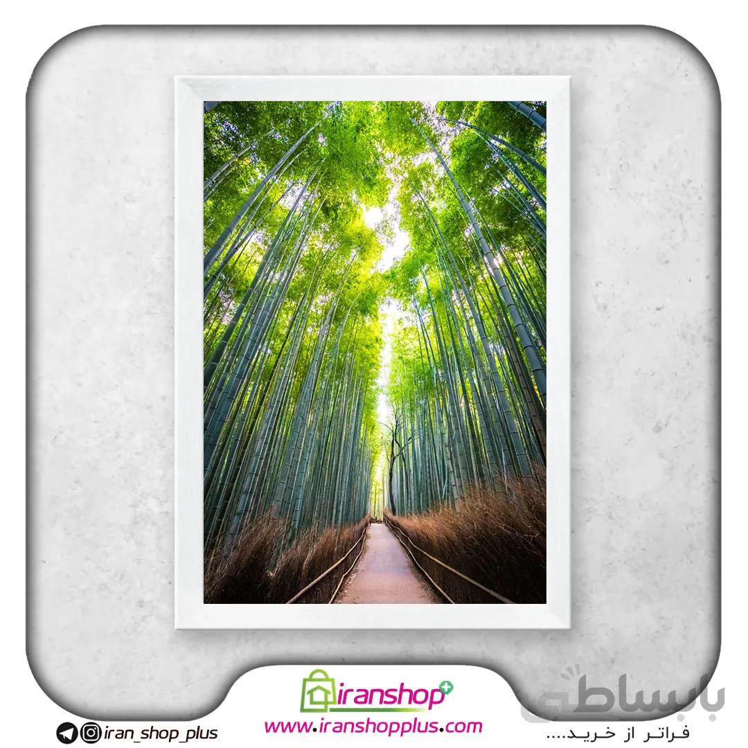 تابلو پوستر منظره درختان سربه فلک کشیده Skyscrapers