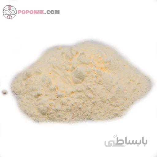 پودر آب پنیر