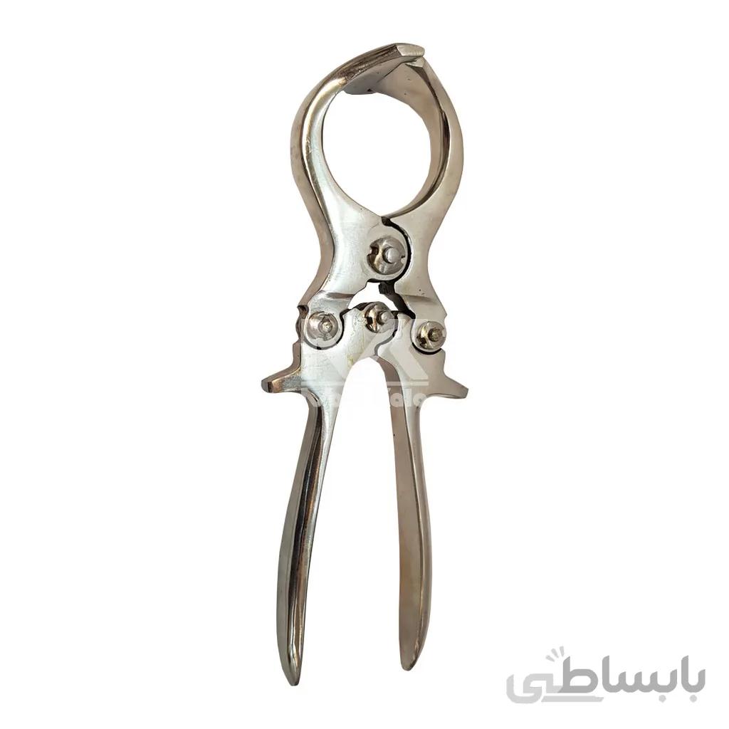 پنس اخته گوسفندی