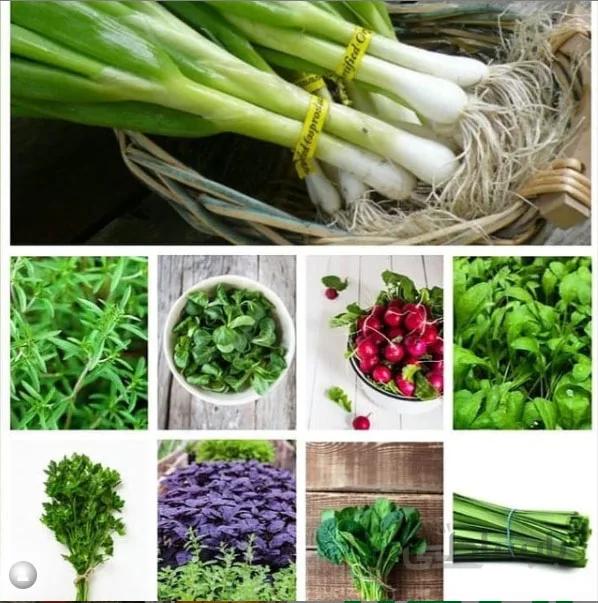 پکیج بذر سبزیجات ( اورجینال )