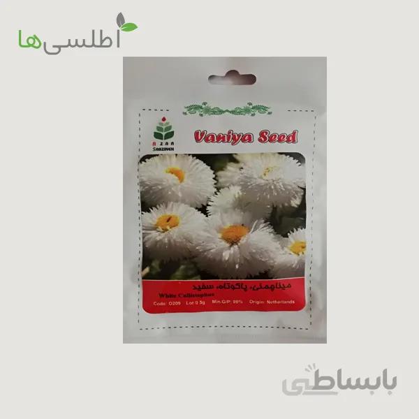 بذر مینا چمنی