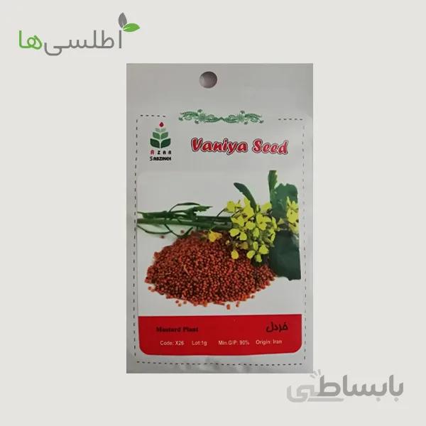 بذر خردل