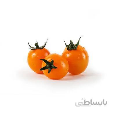 بذر گوجه فرنگی گیلاسی نارنجی درختی