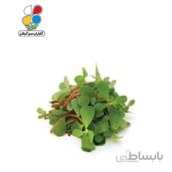 بذر خرفه بسته بندی کوچک مدل GPSV7