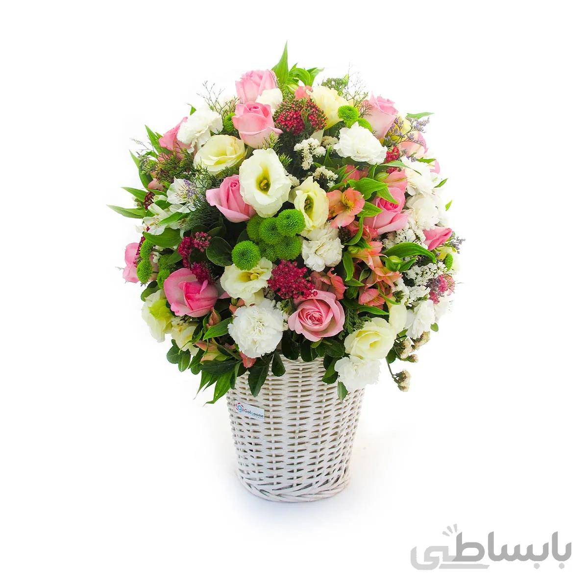 باکس گل سهیل