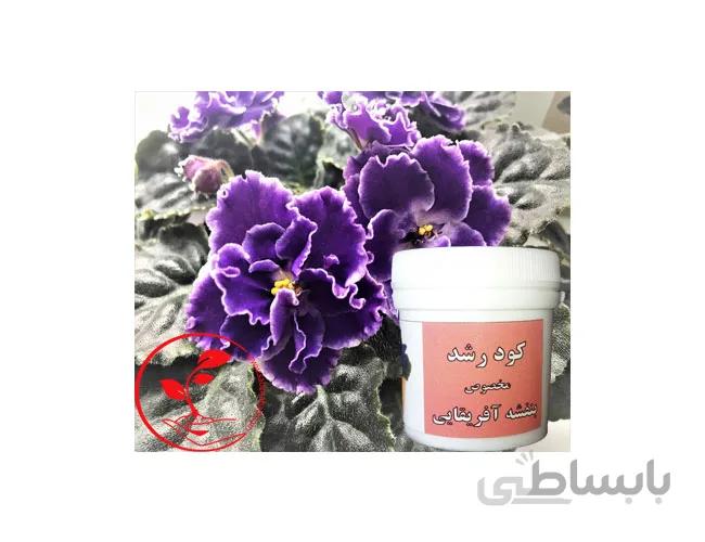 کود مخصوص رشد بنفشه افریقایی
