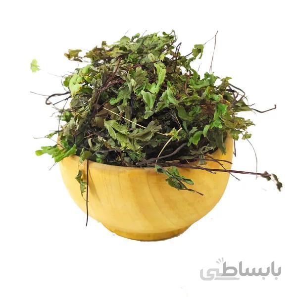 پرسیاوشان 50 گرمی عطارلند