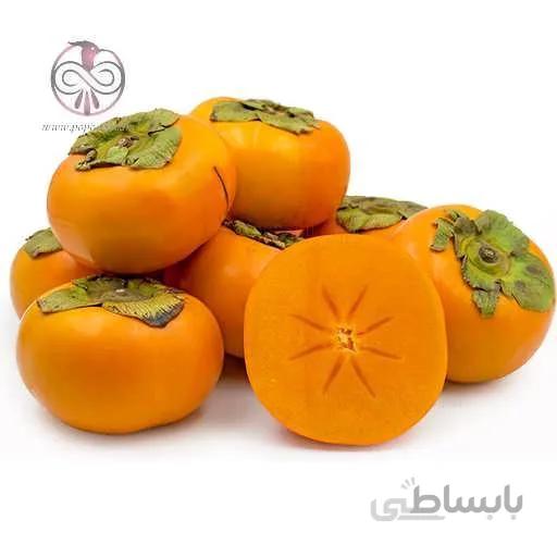 نهال خرمالو فويو (بدون گس)