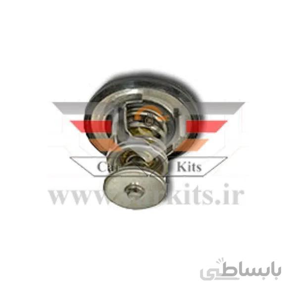 ترموستات جیلی امگرند سواری