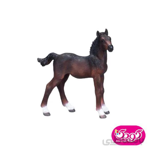 کره اسب هانورین 381018 – حیوانات موجو