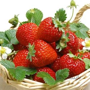 بذر توت فرنگی ا Morangos