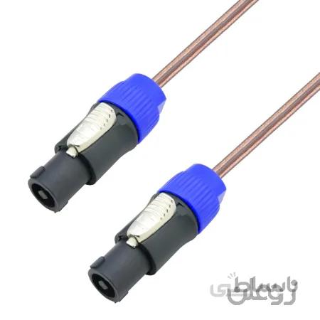 کابل باند پسیو پی اس گروپ دو سر اسپیکون مدل Dual Speakon MM