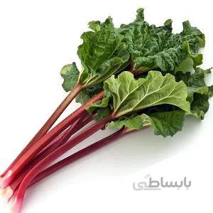 بذر ریواس