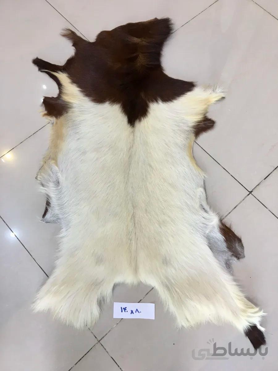 پوست طبیعی تزیینی بزی بزرگ ا sheep wool
