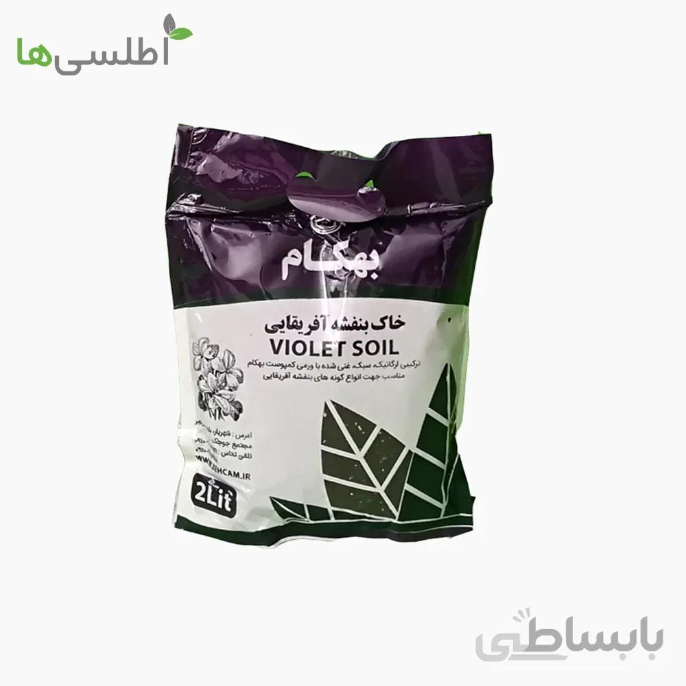 خاک بنفشه افریقایی
