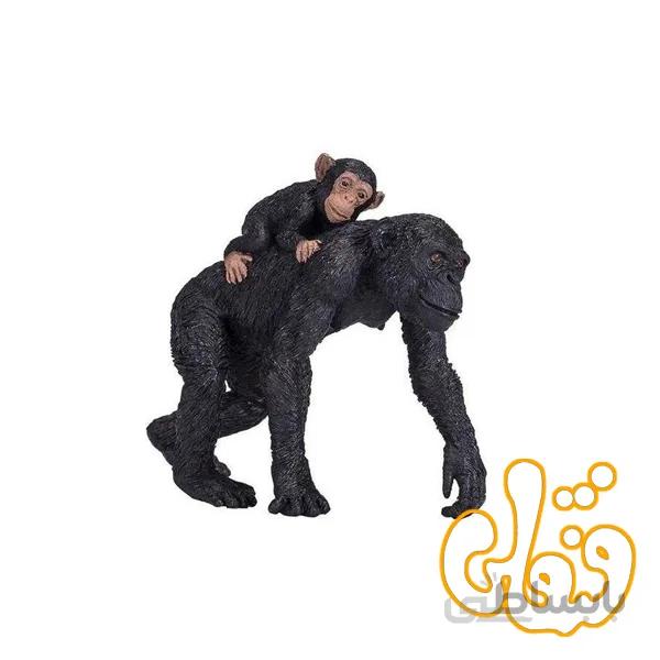 شامپانزه با بچه Chimpanzee and Baby 387264