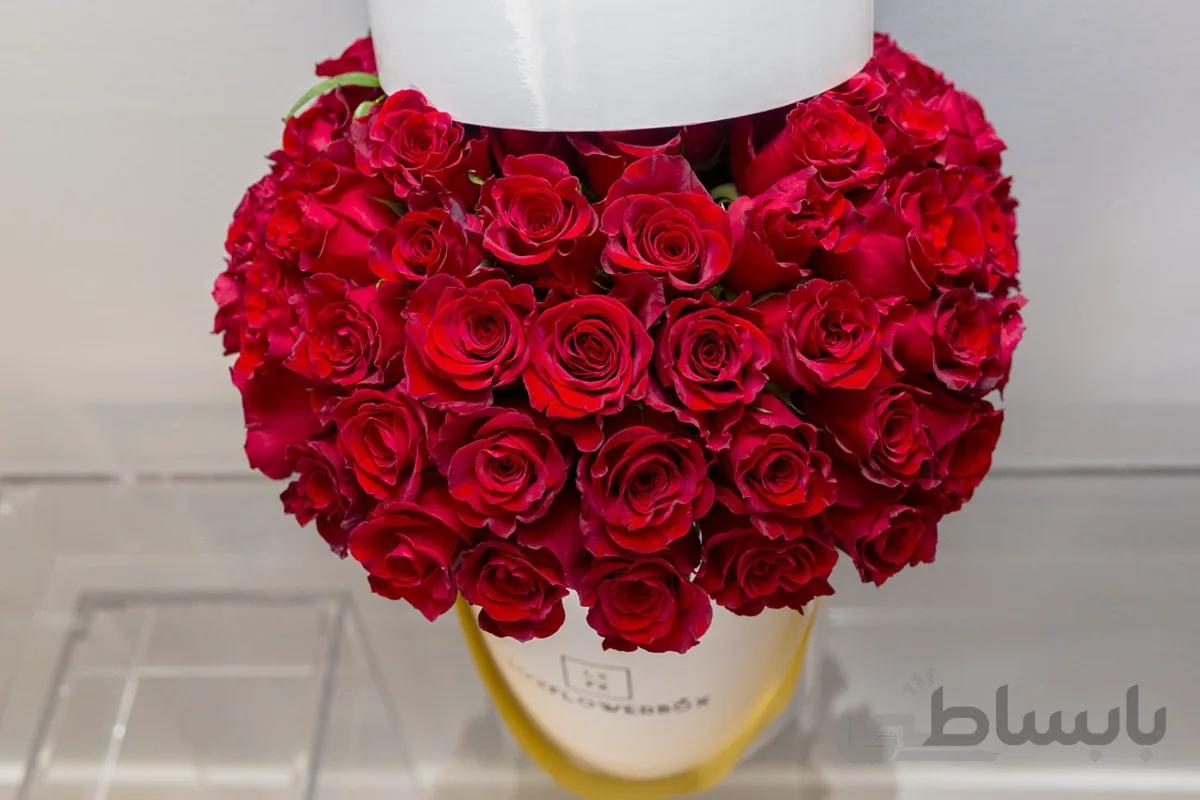 باکس گل روبانی آتوسا شماره ۲۴