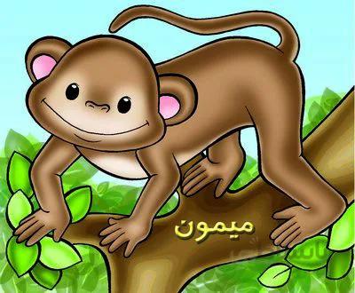 میمون (حیوانات)