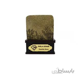 سنگ شجر فسیلی (دندریتی ) کد 2350 ا قیمت به شرط خرید تیمی