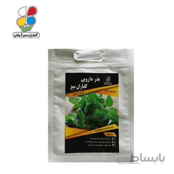 ( بسته 24 عددی ) بذر مرزنجوش