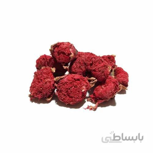 گلنار فارسی