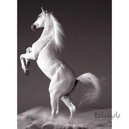نخ و نقشه تابلو فرش حیوانات کد 14