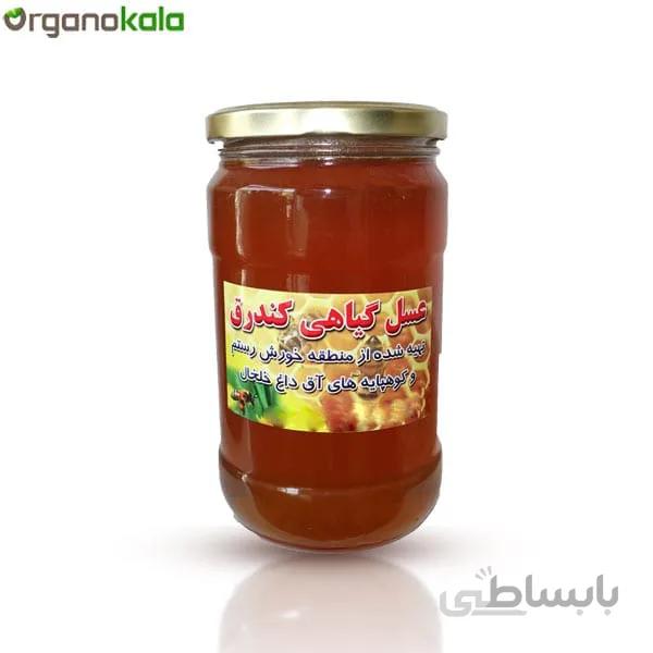 عسل گون کوه آق داغ خلخال 900 گرم