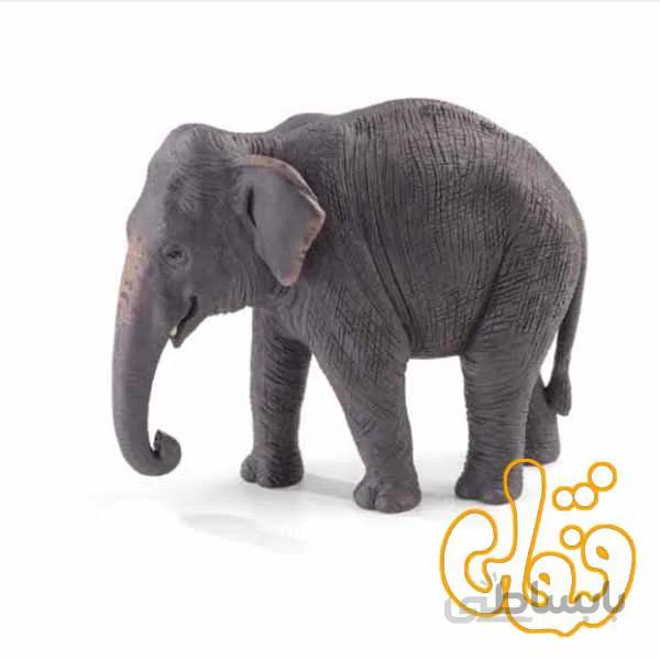 فیل آسیایی Indian Elephant 387266