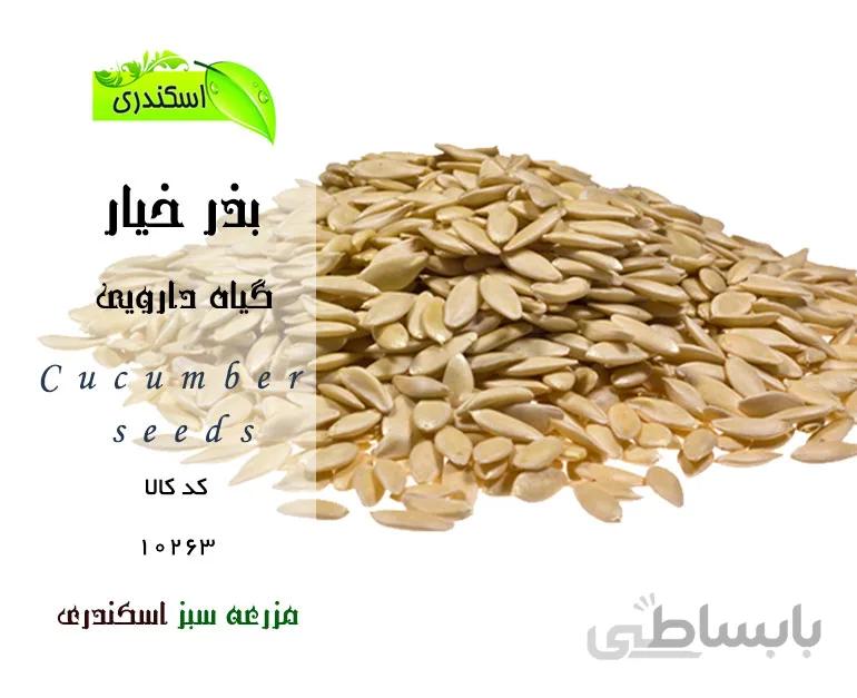 بذر خیار
