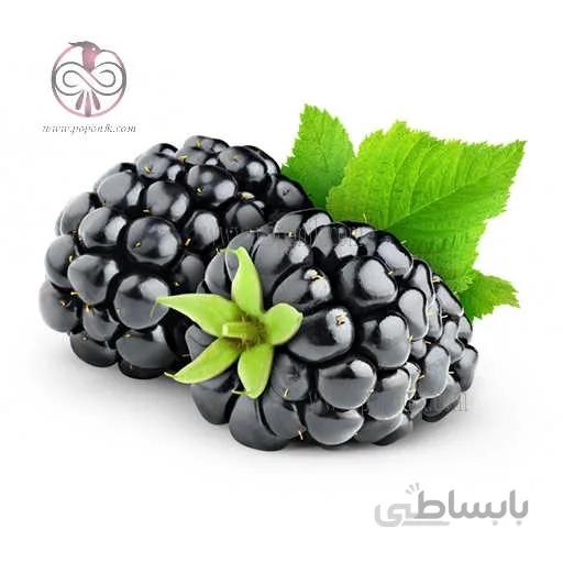نهال تمشک با تیغ