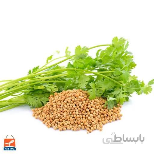 بذر گشنیز پایه بلند