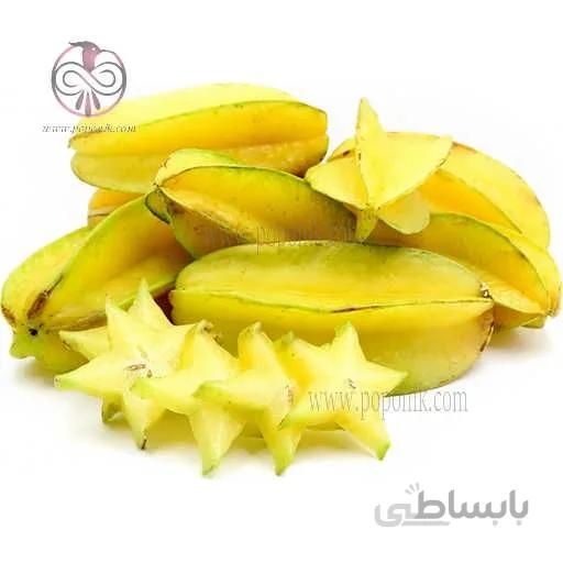 نهال استار فروت
