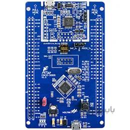 Holtek HT32F52253 Starter Kit 00