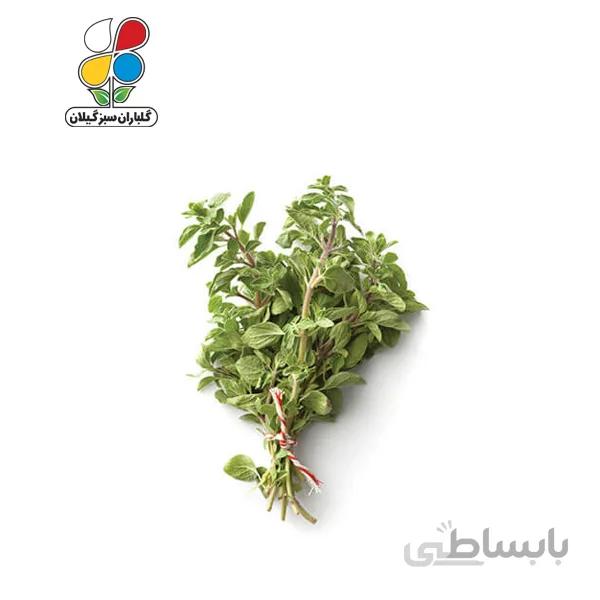 بذر مرزنجوش مدل GPSH7L