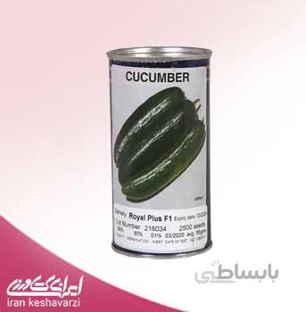 بذر خیار هیبرید رویال پلاس محصول شرکت هایتک آمریکا