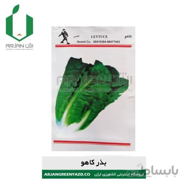 بذر کاهو آوند ( 5 گرم )