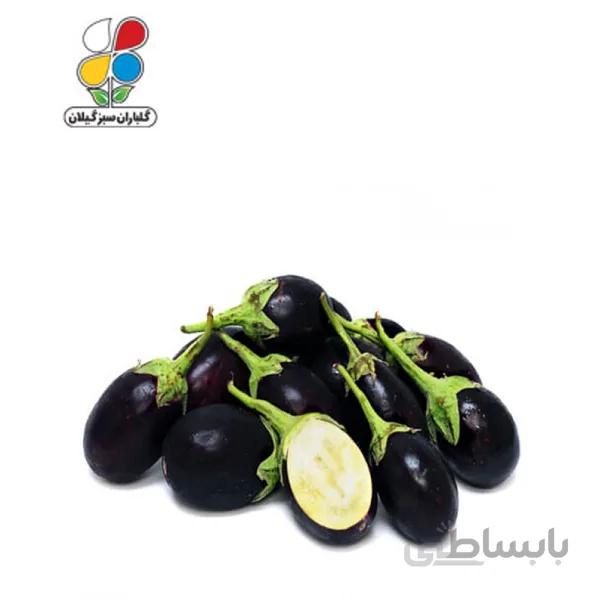 بذر بادمجان دلمه ای بسته 3 عددی مدل GPSS7L