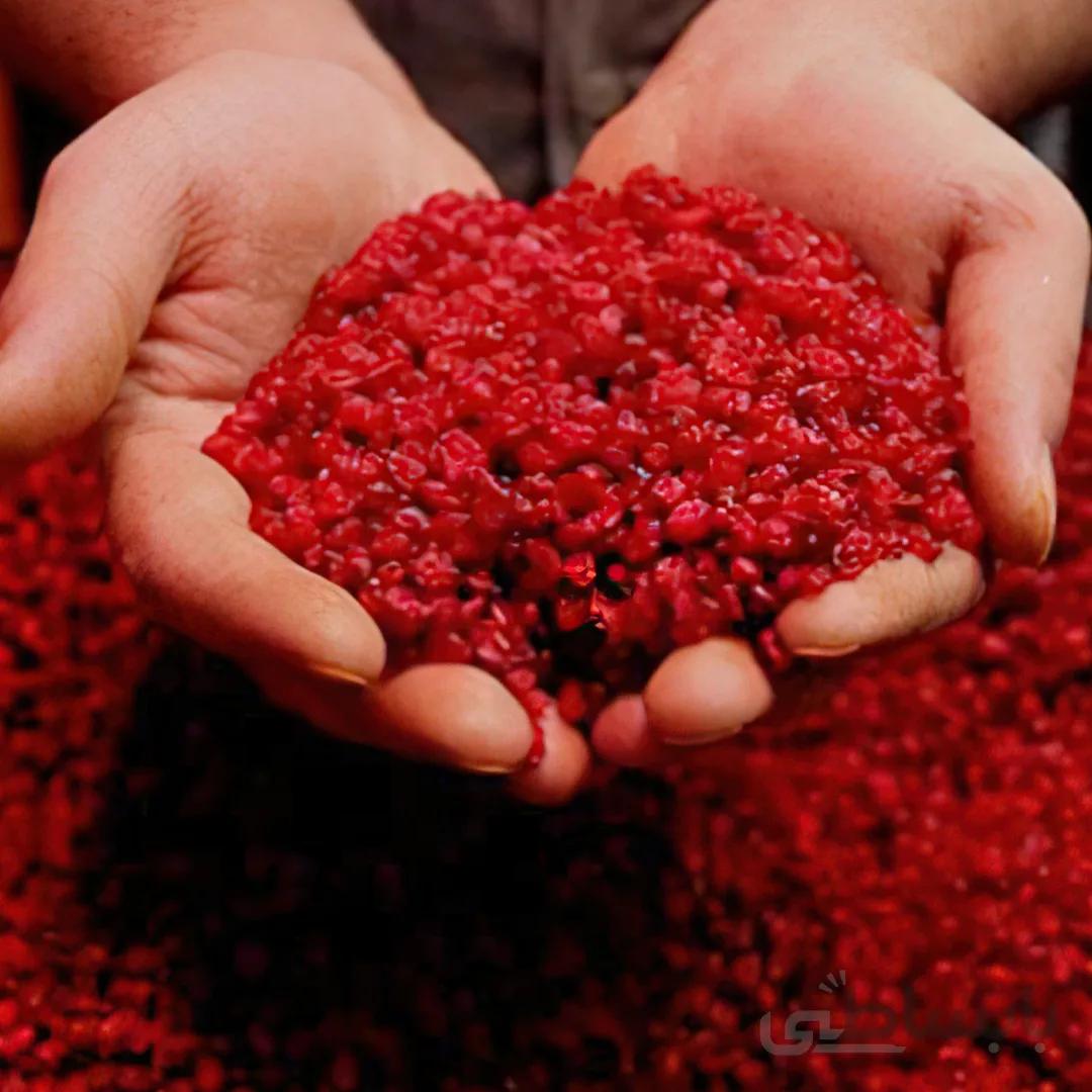 زرشک دانه اناری 1000گرمی پاک شده