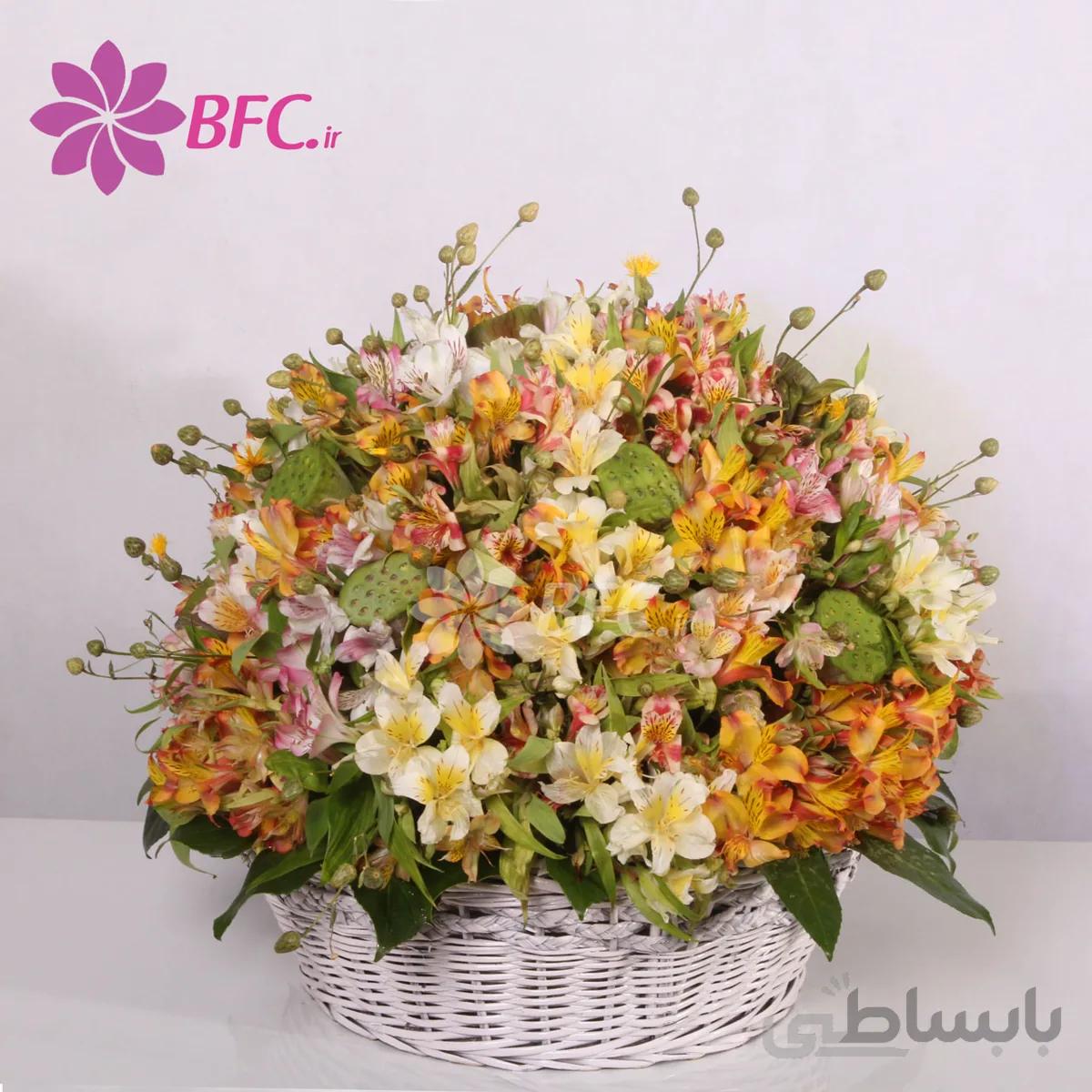 سبد گل آلسترومریا