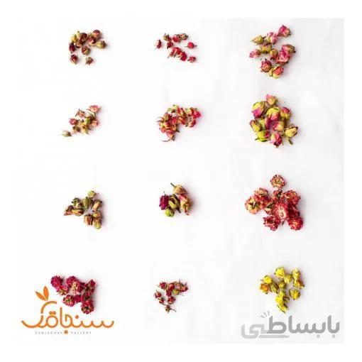 مینی پک غنچه گل رز