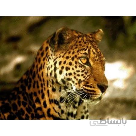 نخ و نقشه تابلو فرش حیوانات کد 10