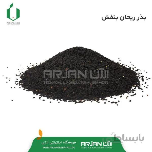 بذر ریحان بنفش کد 345798