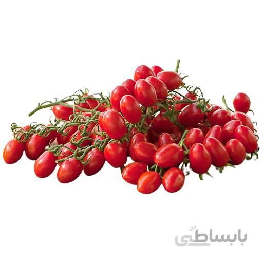 بذر گوجه گیلاسی قرمز فیاسچتو