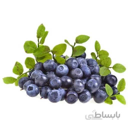 بذر بیلبری
